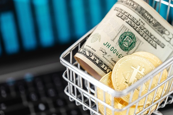 Mini shopping basket with dollar bills and gold coins